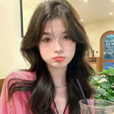 小鸟之翼第二季